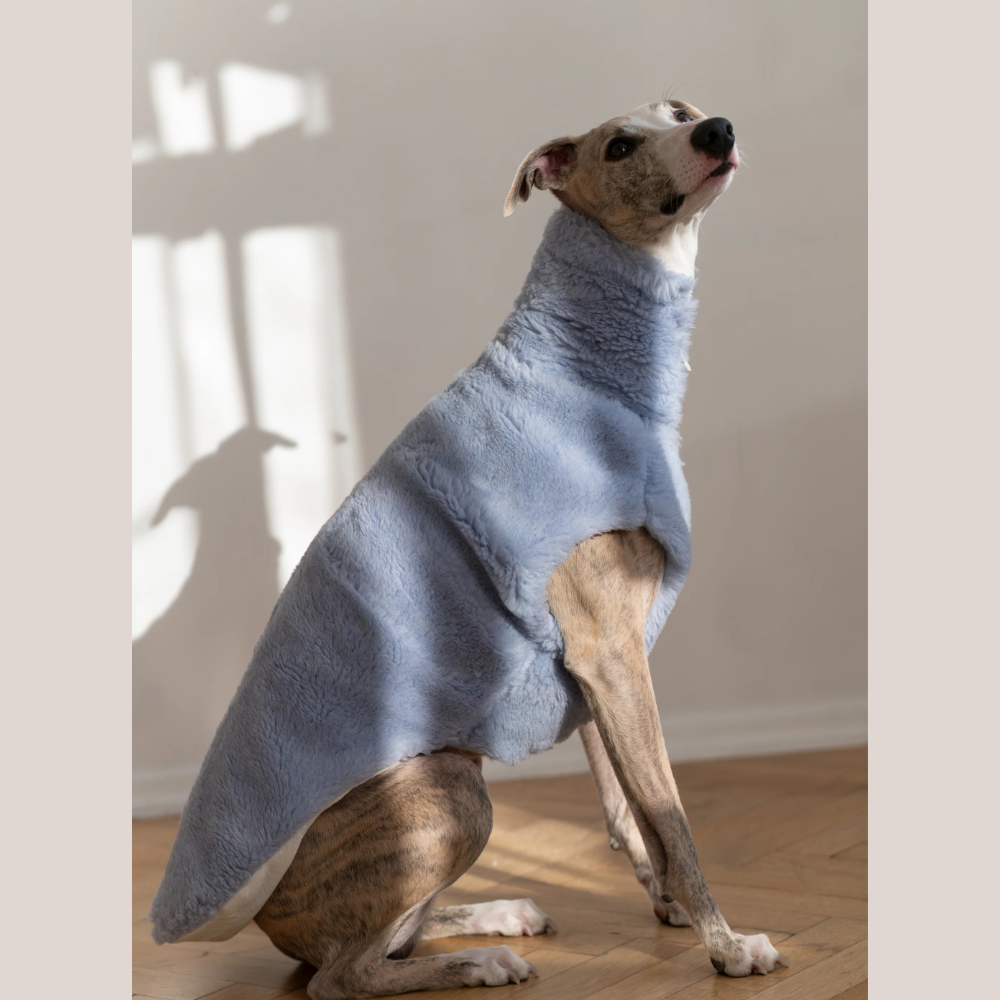 Volneni pasji plašček – nežna toplina brez plastike (moder)