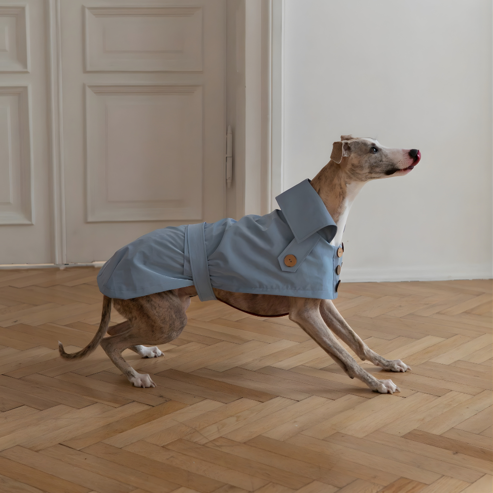Eleganten pasji trenč brez plastike –ročno izdelan, vodoodporen in brezčasno šik (svetlo moder)