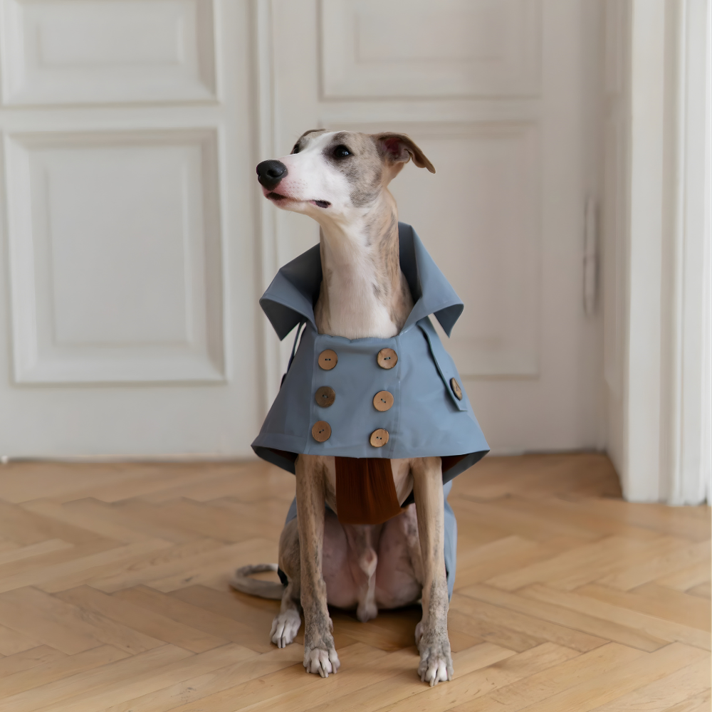 Eleganten pasji trenč brez plastike –ročno izdelan, vodoodporen in brezčasno šik (svetlo moder)