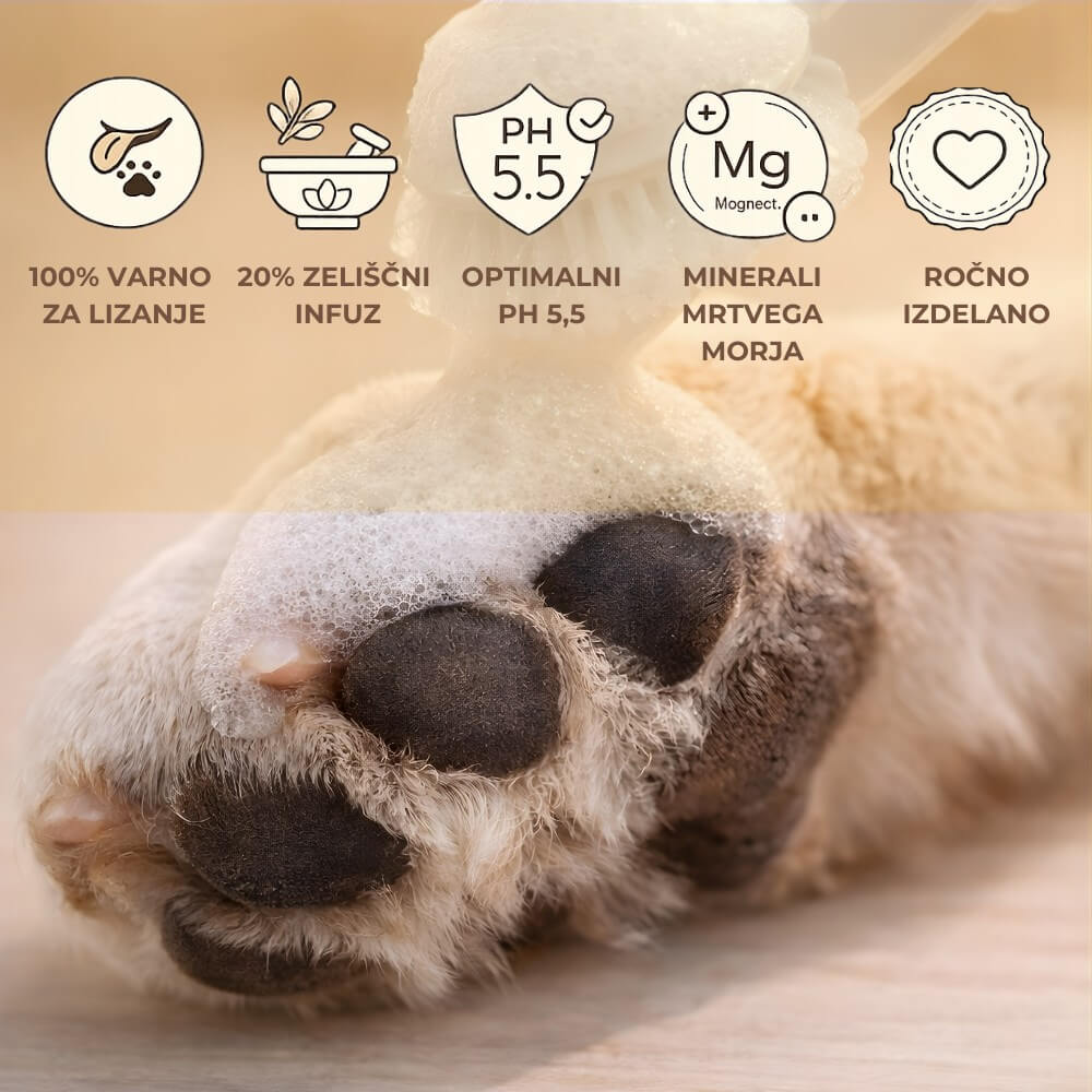 Bert & Hugo Ritual 5.5 — Znanost za tačke in trebušček