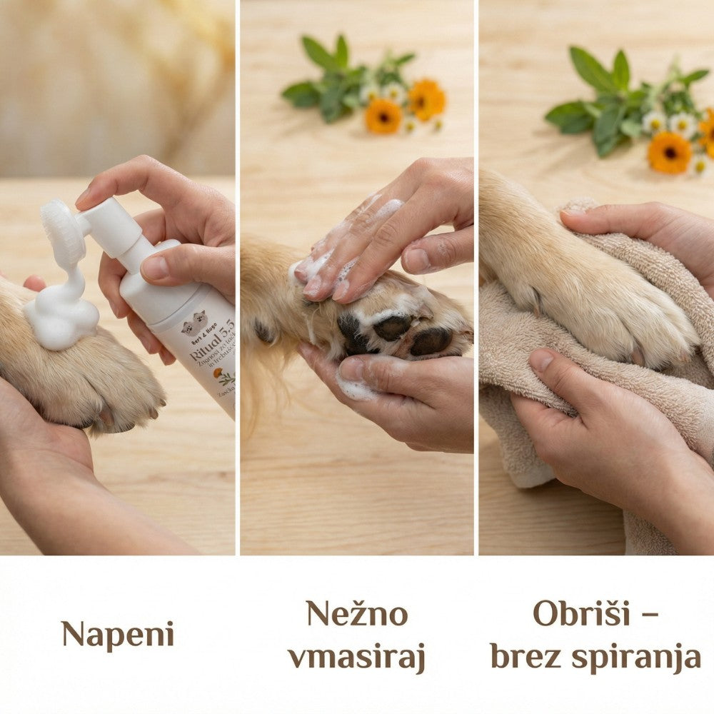 Bert & Hugo Ritual 5.5 — Znanost za tačke in trebušček