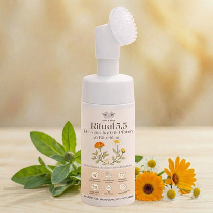 Bert &amp; Hugo Ritual 5.5 – Wissenschaft für Pfoten &amp; Bäuchlein