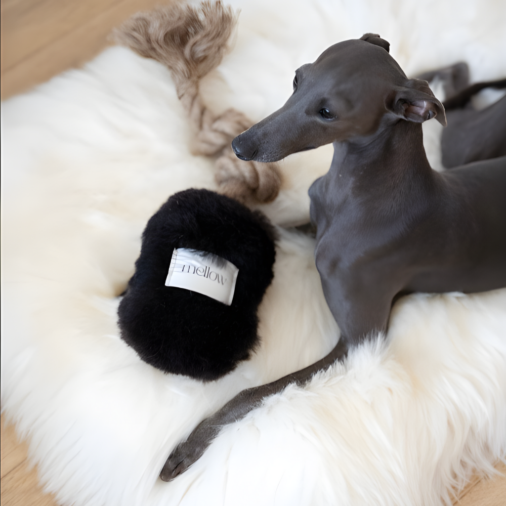 Naravna igrača za vlečenje iz ovčje kože – moč, ki povezuje (črna)