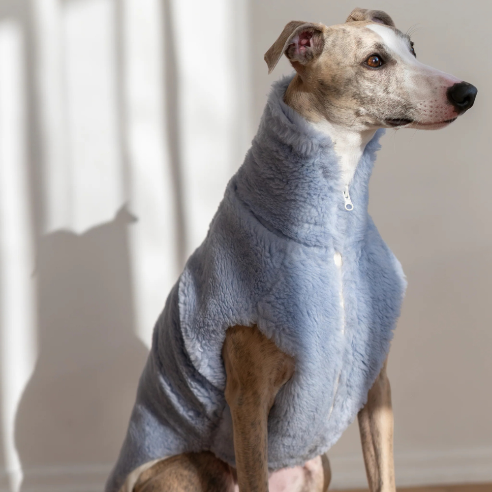 Volneni pasji plašček – nežna toplina brez plastike (moder)