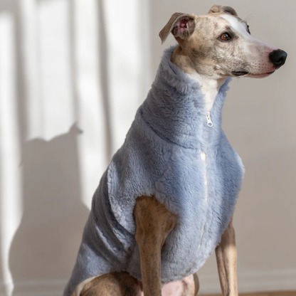 Volneni pasji plašček – nežna toplina brez plastike (moder)