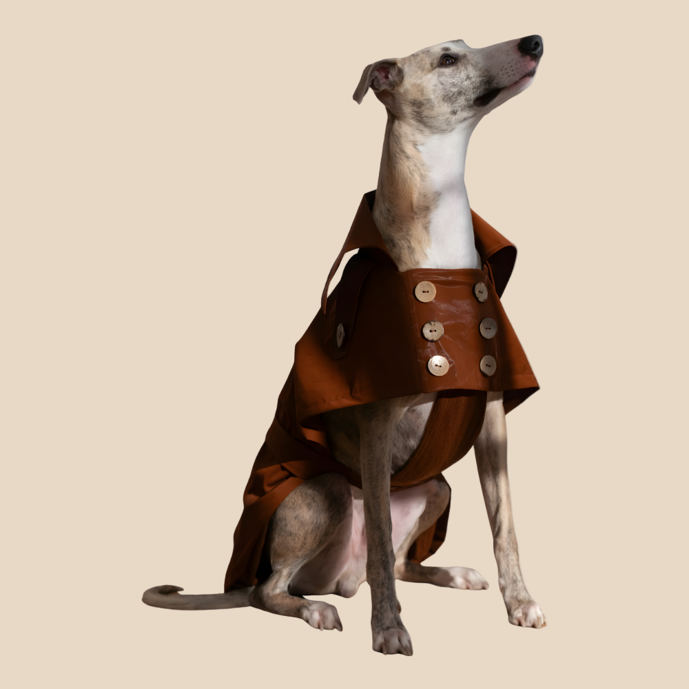 Eleganten pasji trenč brez plastike –ročno izdelan, vodoodporen in brezčasno šik (rjav)