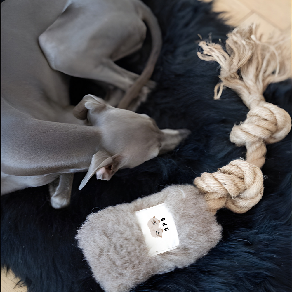 Naravna igrača za vlečenje iz ovčje kože – moč, ki povezuje (bež)