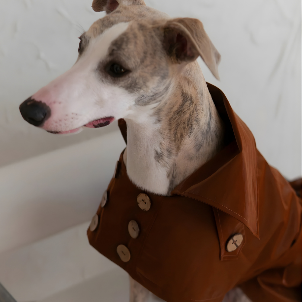 Eleganten pasji trenč brez plastike –ročno izdelan, vodoodporen in brezčasno šik (rjav)