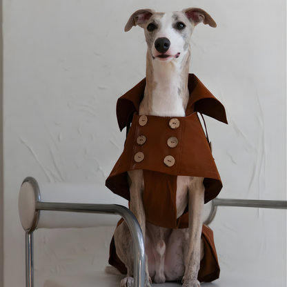 Eleganten pasji trenč brez plastike –ročno izdelan, vodoodporen in brezčasno šik (rjav)