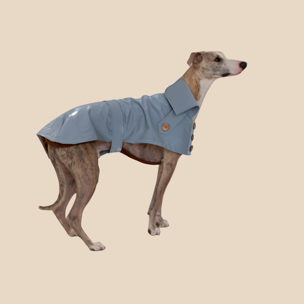 Eleganten pasji trenč brez plastike –ročno izdelan, vodoodporen in brezčasno šik (svetlo moder)