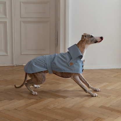 Eleganten pasji trenč brez plastike –ročno izdelan, vodoodporen in brezčasno šik (svetlo moder)
