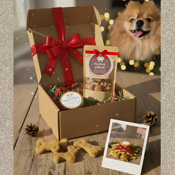Božični darilni paket: Objem za tačke + Božični bio piškoti