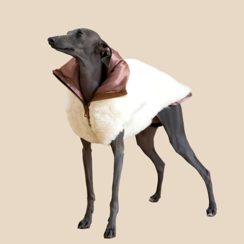 Volneni pasji plašček – nežna toplina brez plastike (bel)