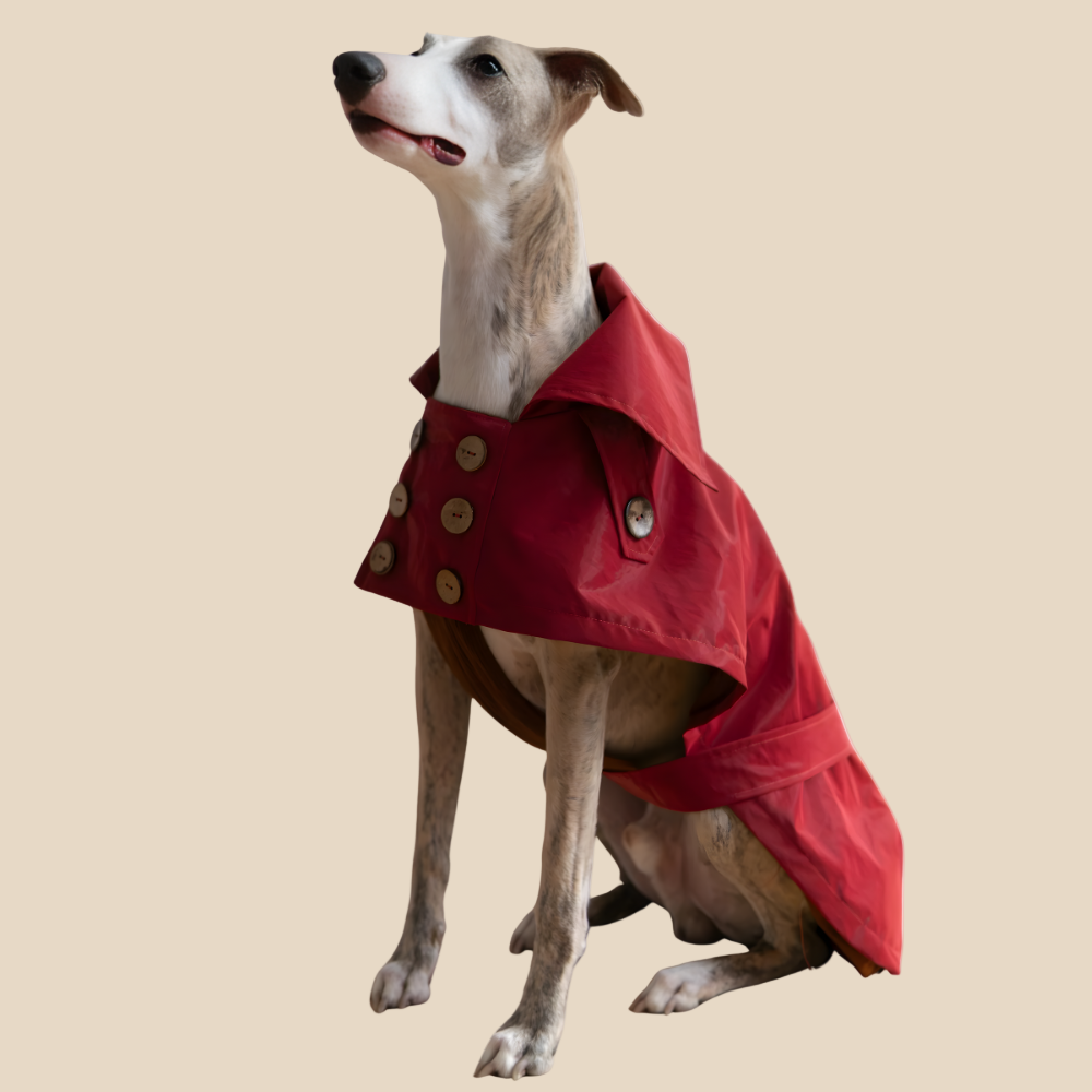 Eleganten pasji trenč brez plastike –ročno izdelan, vodoodporen in brezčasno šik (rdeč)