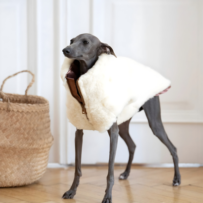 Volneni pasji plašček – nežna toplina brez plastike (bel)