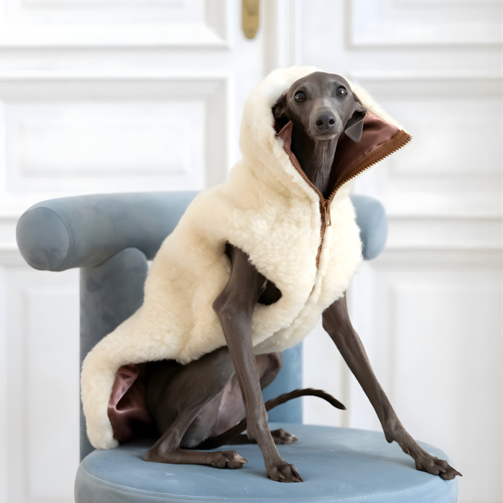 Volneni pasji plašček – nežna toplina brez plastike (bel)