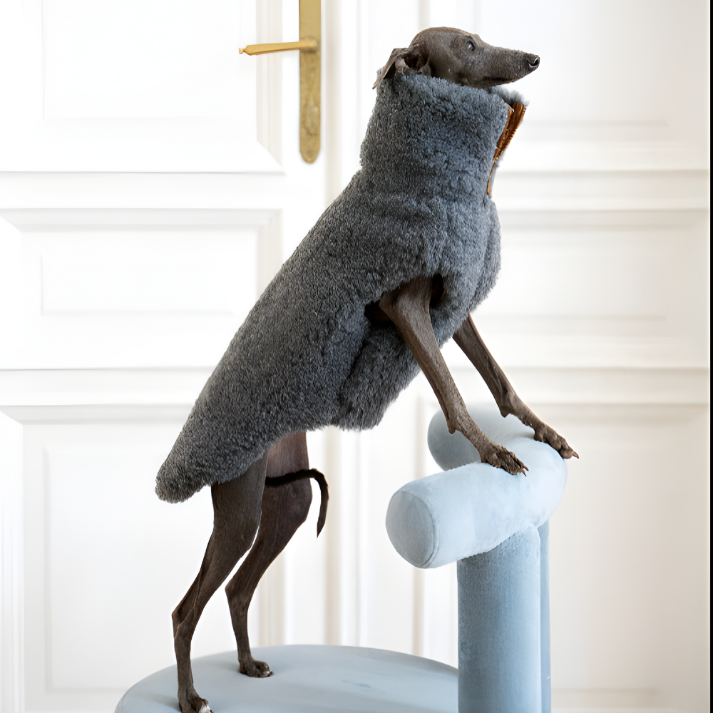 Volneni pasji plašček – nežna toplina brez plastike (temno siv)