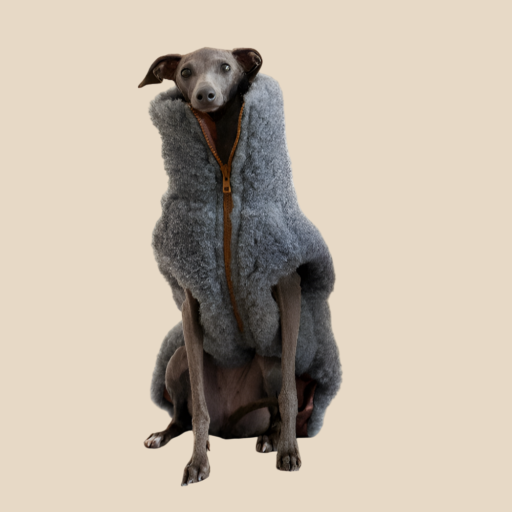 Volneni pasji plašček – nežna toplina brez plastike (temno siv)