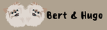 Bert & Hugo
