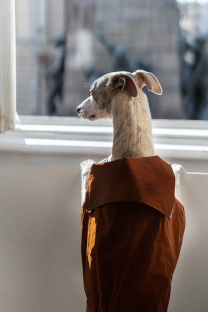 Eleganten pasji trenč brez plastike –ročno izdelan, vodoodporen in brezčasno šik (rjav)